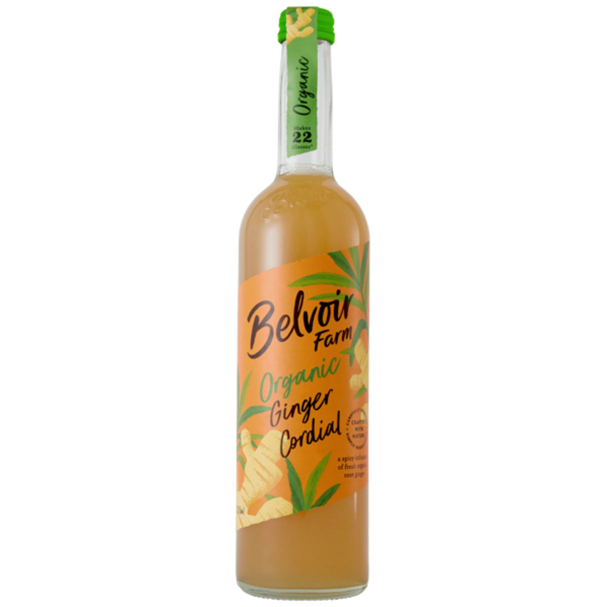 Belvoir Organic Ginger Cordial 500ml